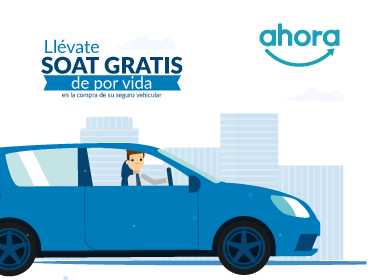 SeguroSimple.com