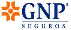 SeguroSimple.com