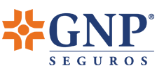 GNP